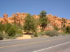 Red Canyon