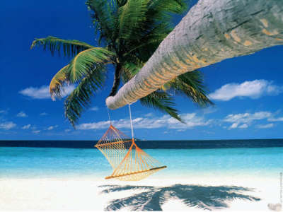 Beach Hammock