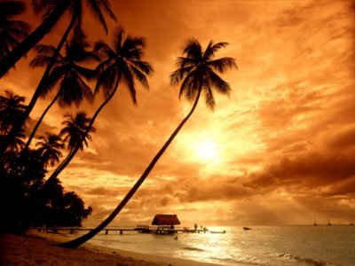 Tobago Caribbean